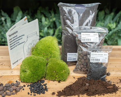 Large Florazo NL DIY terrarium kit with glass container, plants, and decorative elements for creating a stylish plant terrarium.