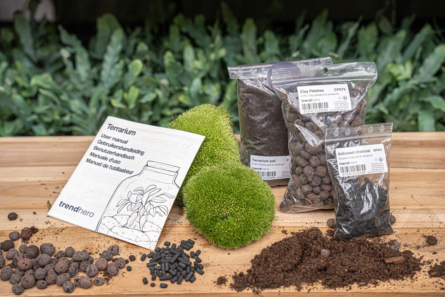 Terrarium Package  – Refill & Starter Package  – DIY Terrarium Kit – Size S/M