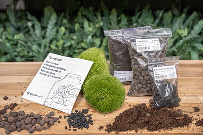 Small DIY Florazo NL terrarium kit refill and starter package with glass container, decorative pebbles, and moss for plant display.