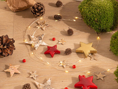 Christmas terrarium decoration kit by Florazo NL with festive mini plants, ornaments, and decorative elements for holiday terrarium displays